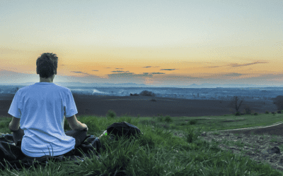 Why are corporate wellness programs important?